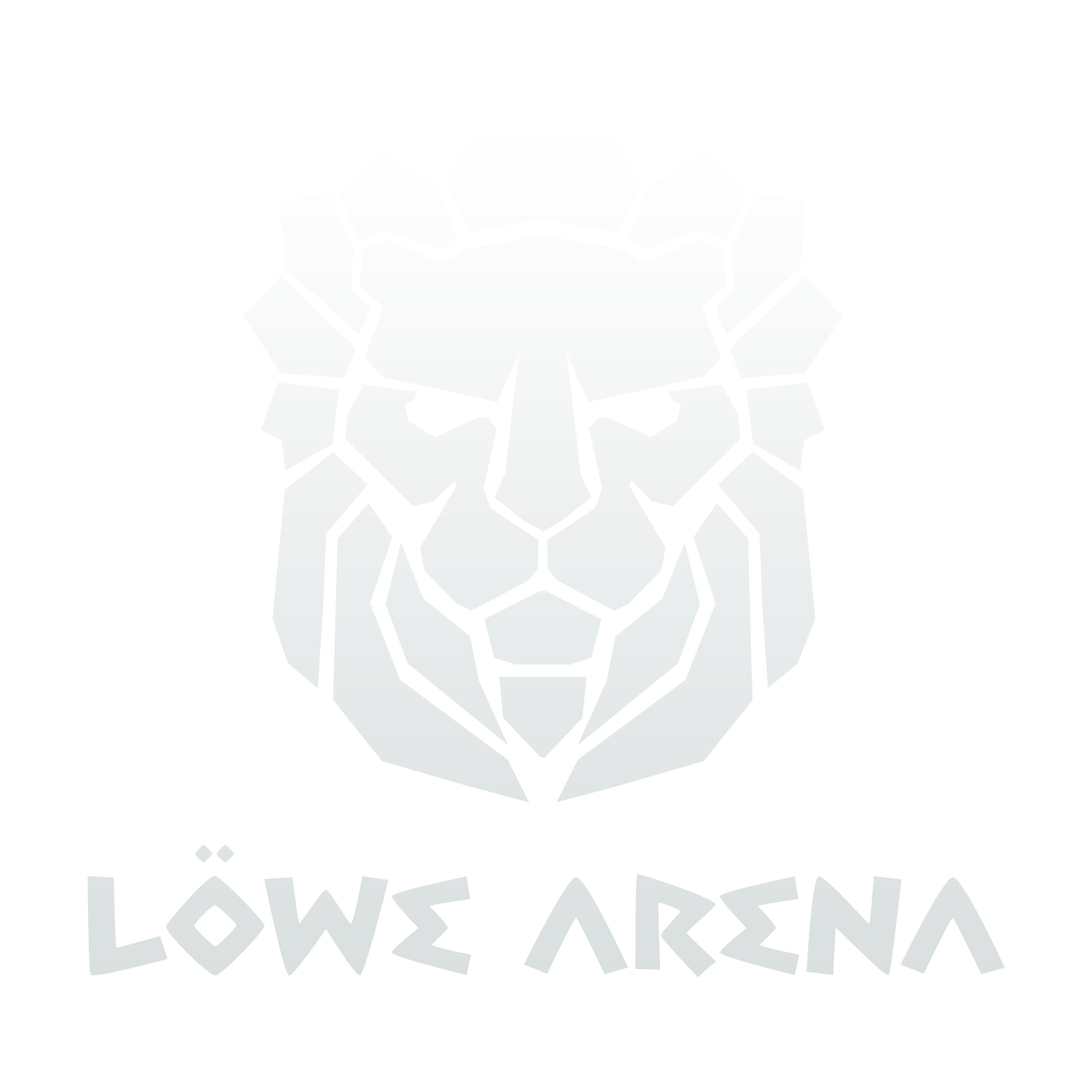 Löwe Arena